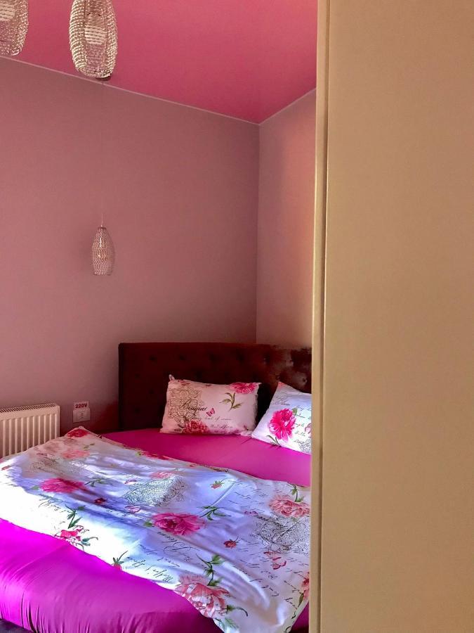 Sweet Pink By Miro Sinaia